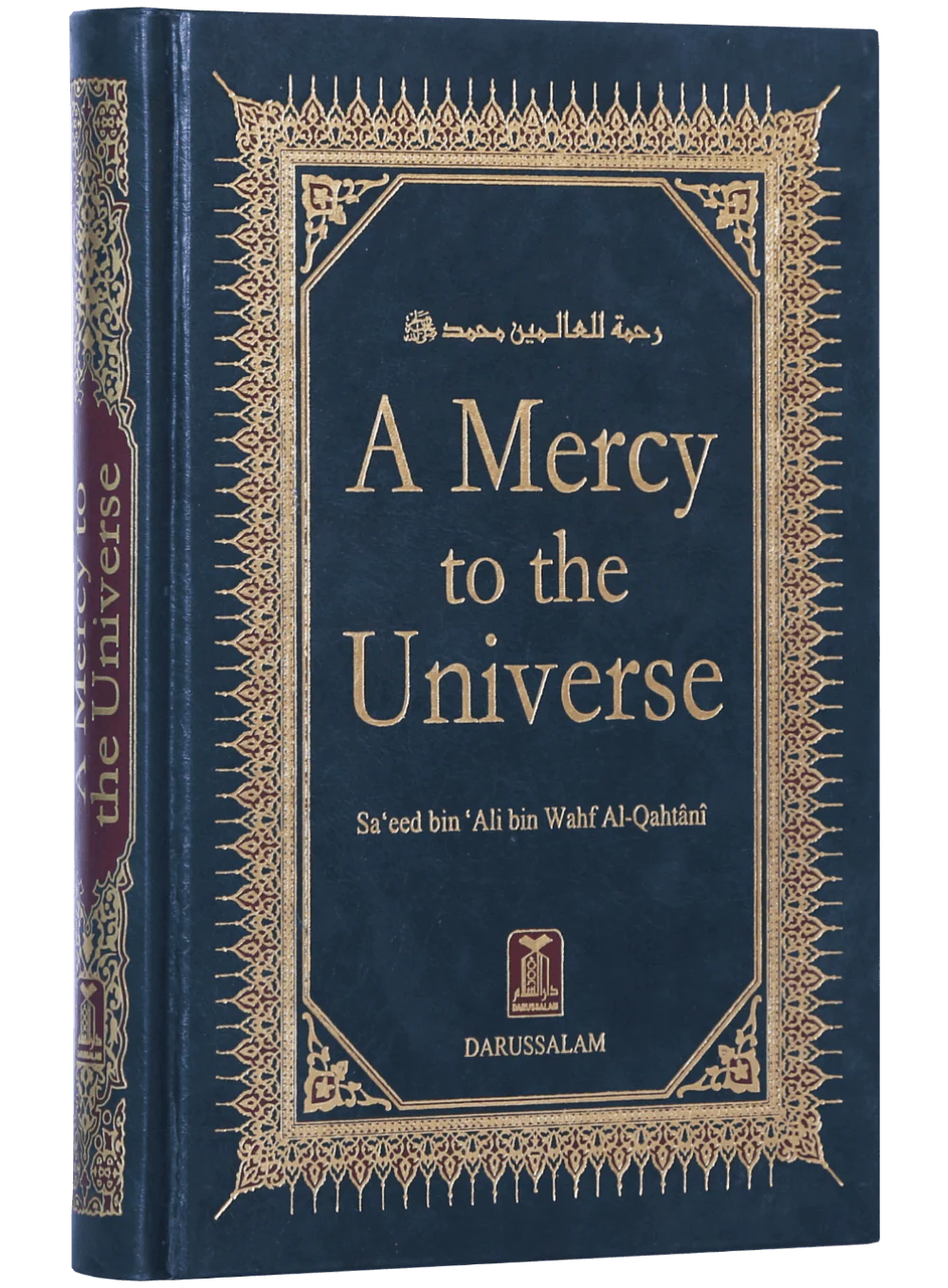 A Mercy to the Universe - Image 4