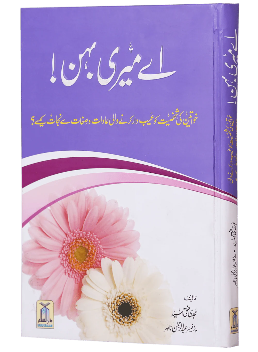 Ae Meri Behan (O My Sister!) - Image 5