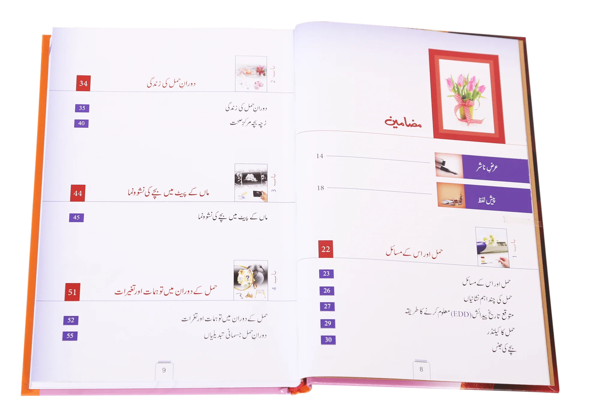 Agar Aap Maa Banny Wali Hain / اگر آپ ماں بننے والی ہیں - Image 5