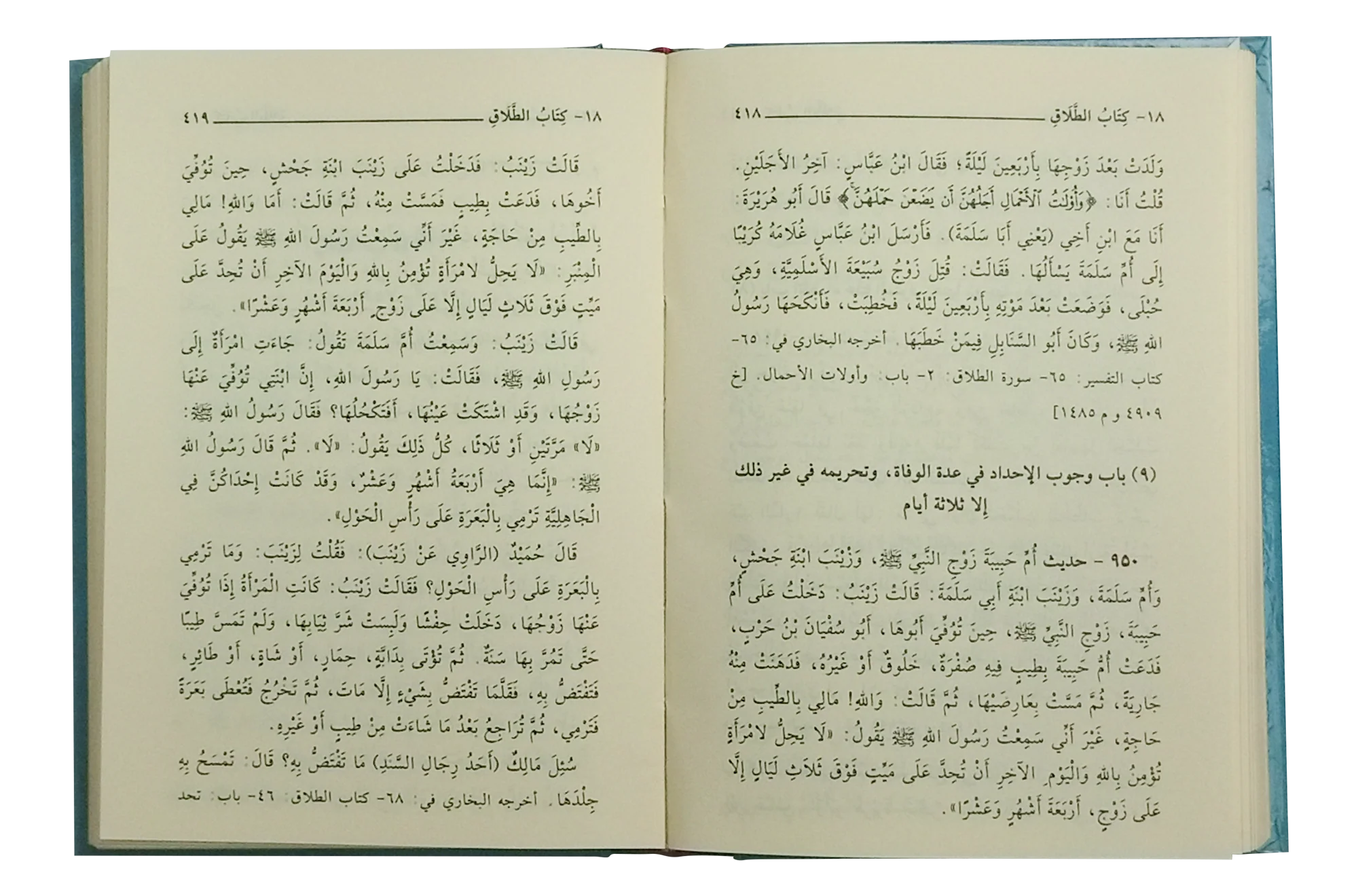 Al-Lulu Wal-Marjan - 12x17 - Image 4