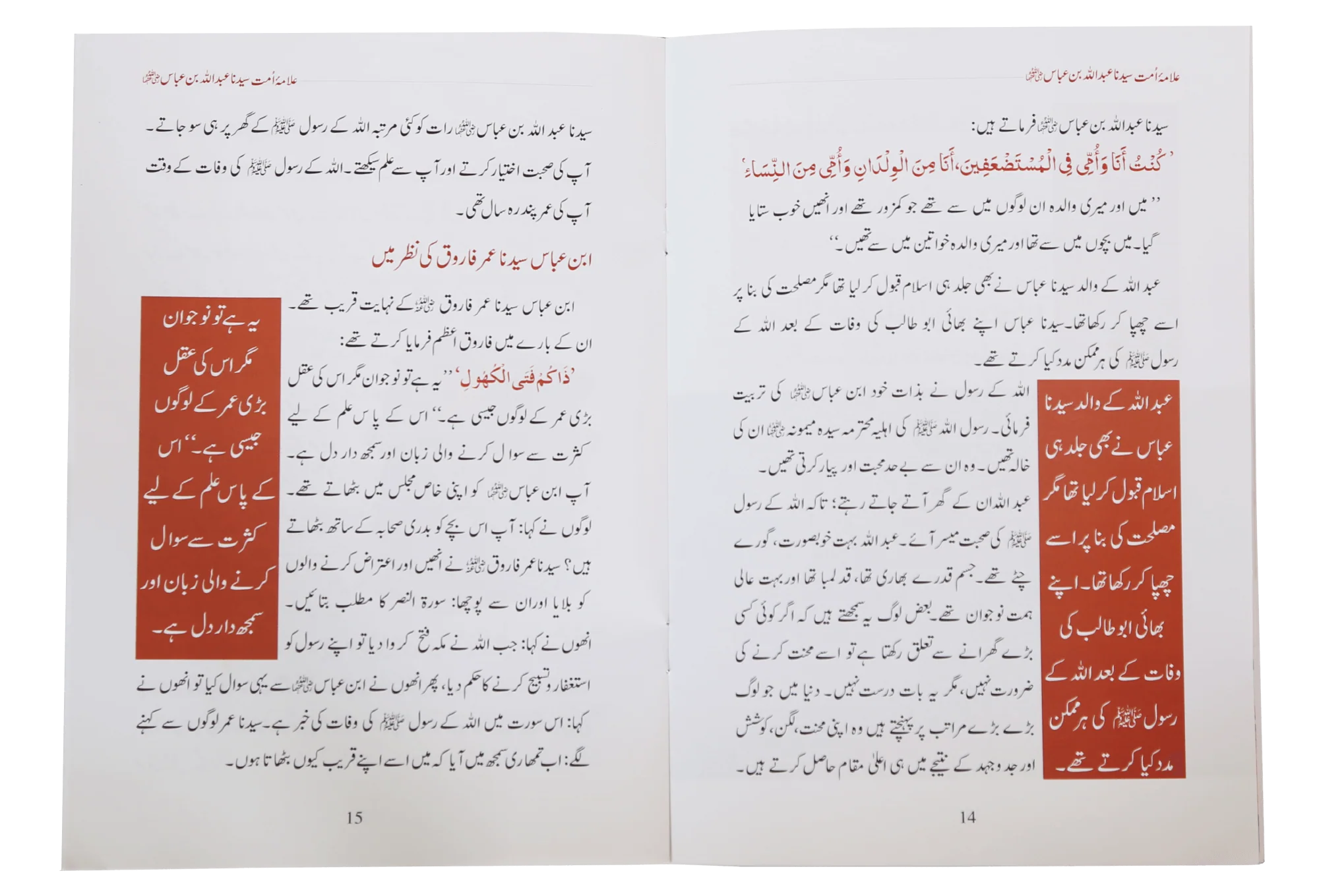 Allama Umaat Sayedina Abdullah Bin Abbas - Image 3