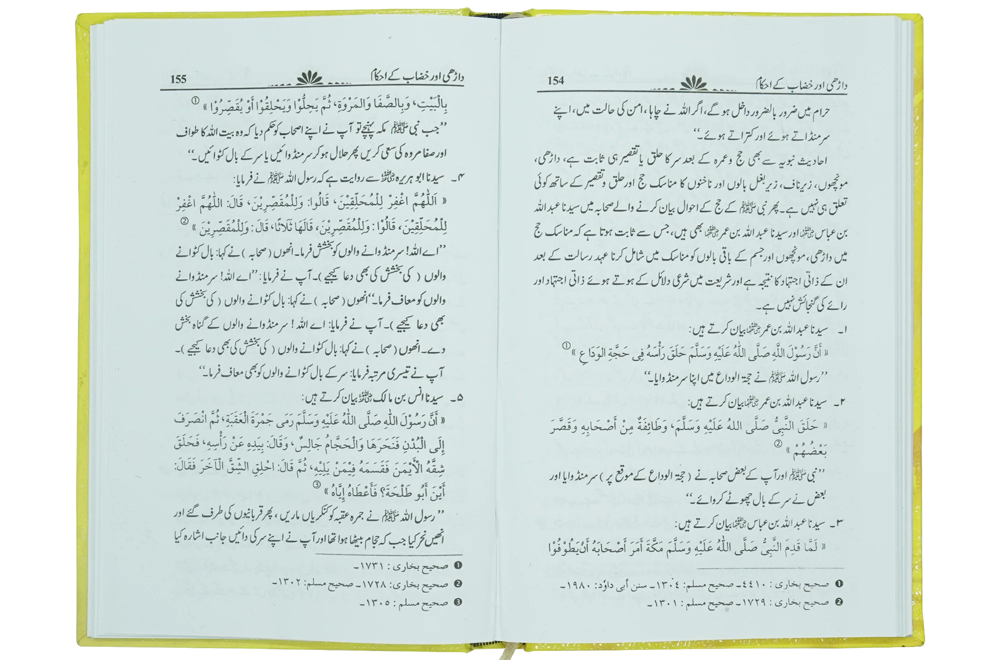 Dhari Aur Khizab - Image 4