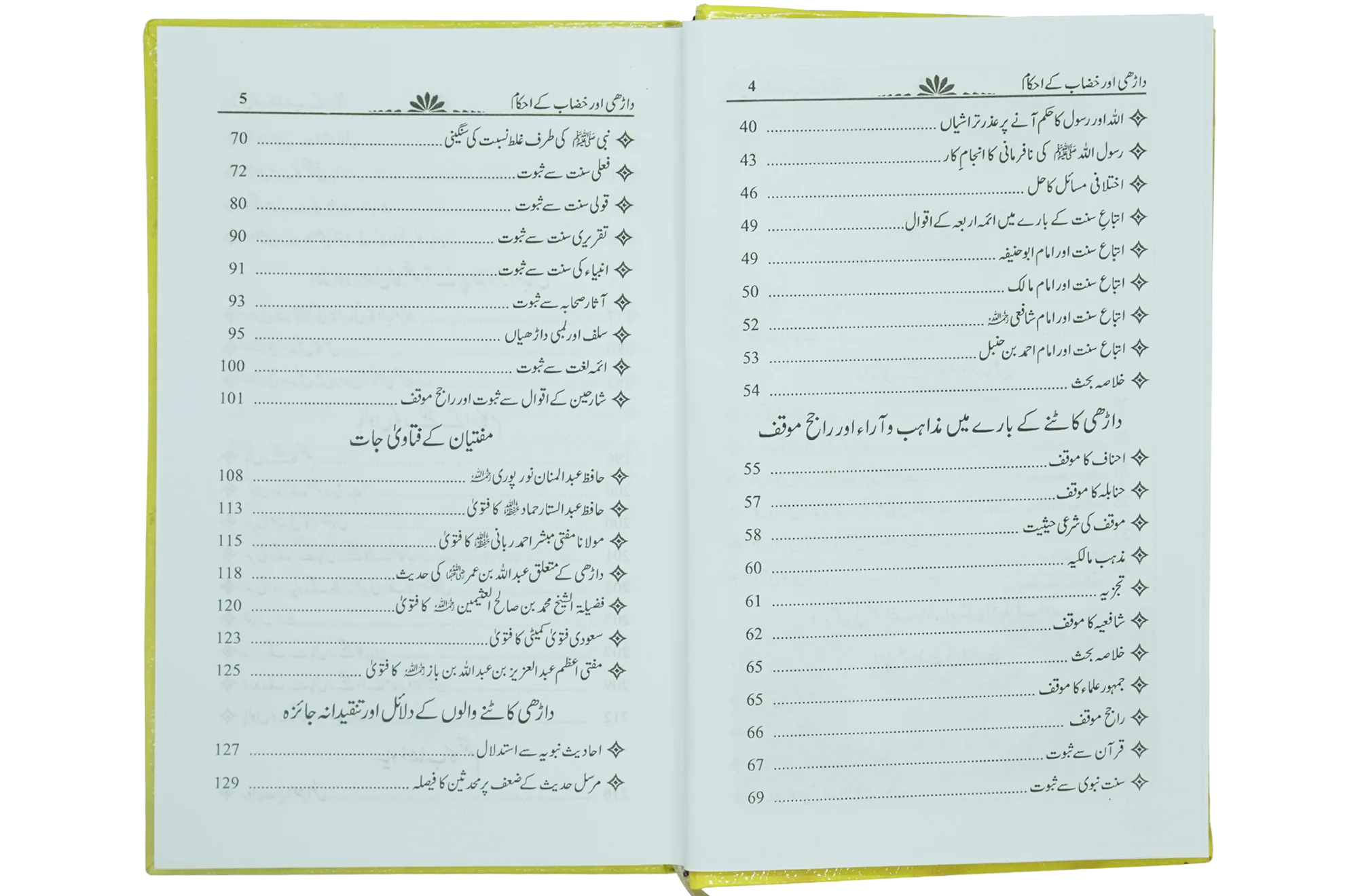 Dhari Aur Khizab - Image 6