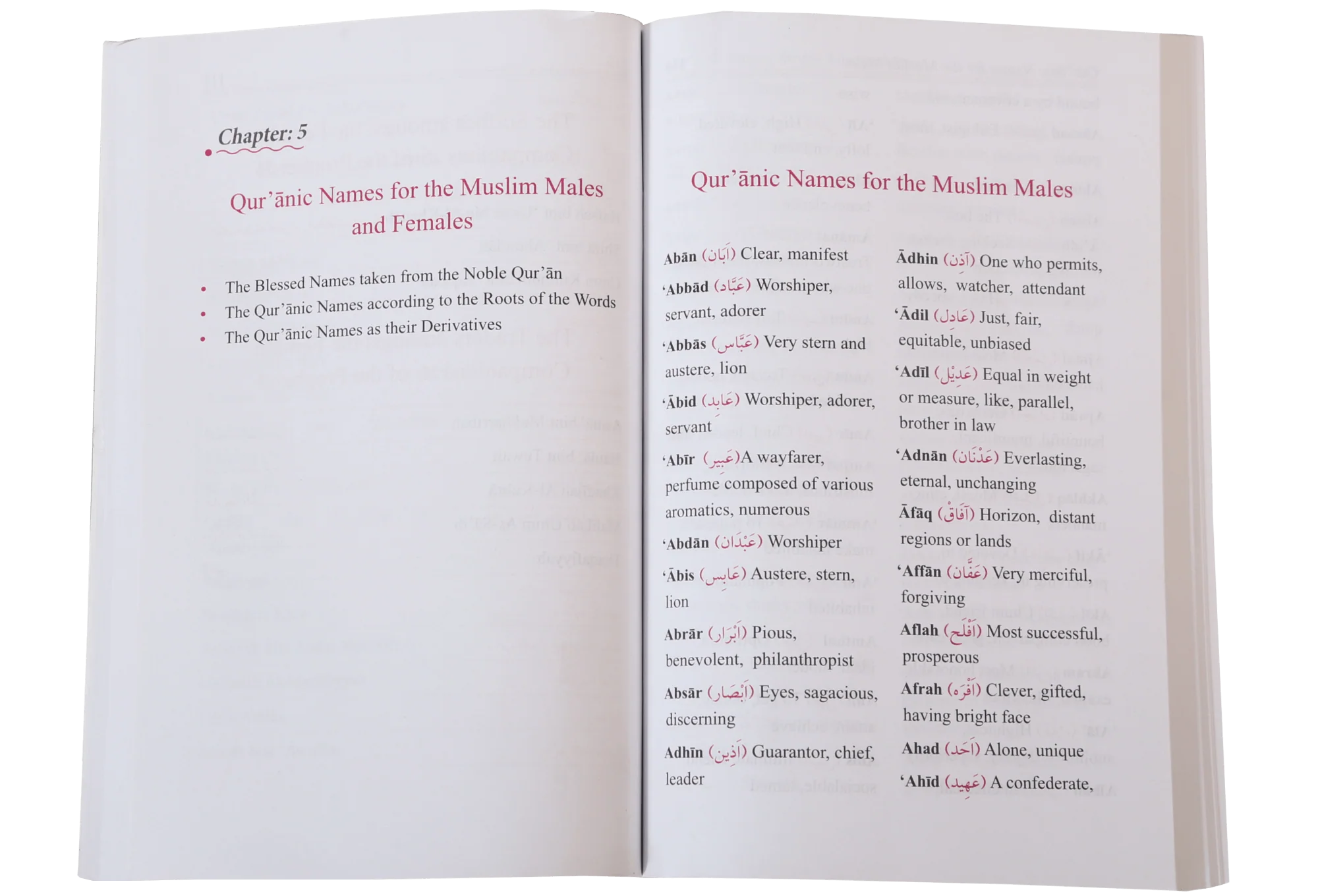 Dictionary of Islamic Names - Image 3