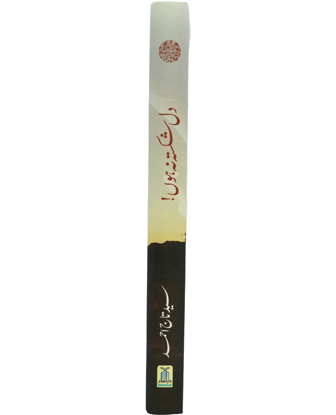 Dill Shikista Na Hon - Image 3