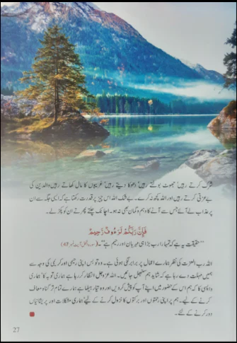 Dill Shikista Na Hon - Image 4