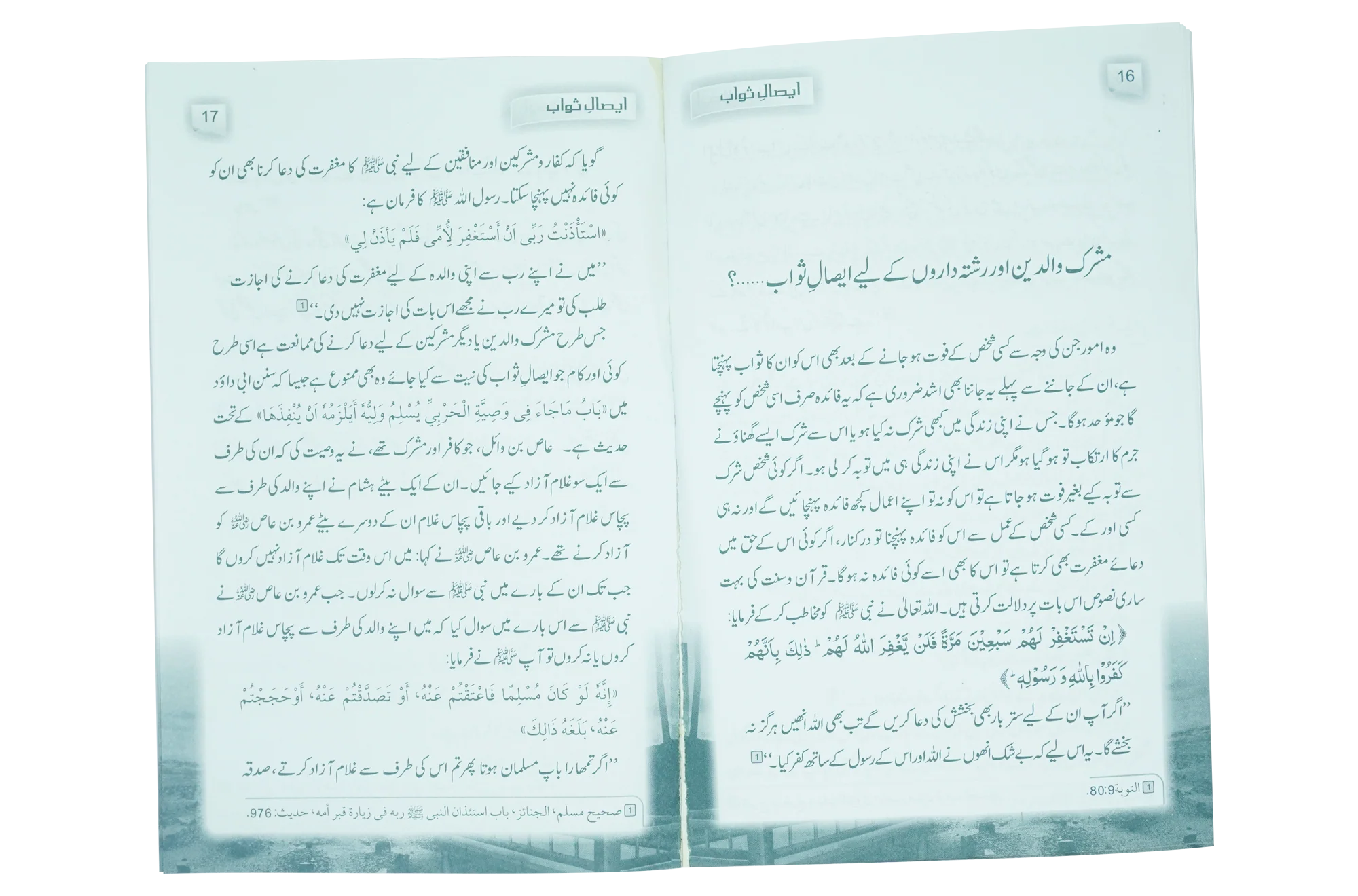 Esaal E Sawaab - Image 4