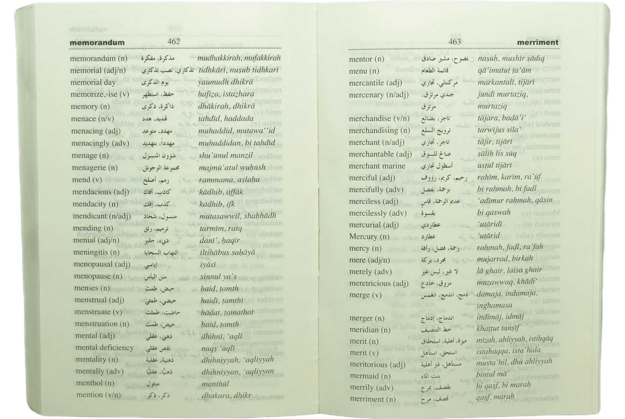Goodword English-Arabic Dictionary (8x12) - Image 3