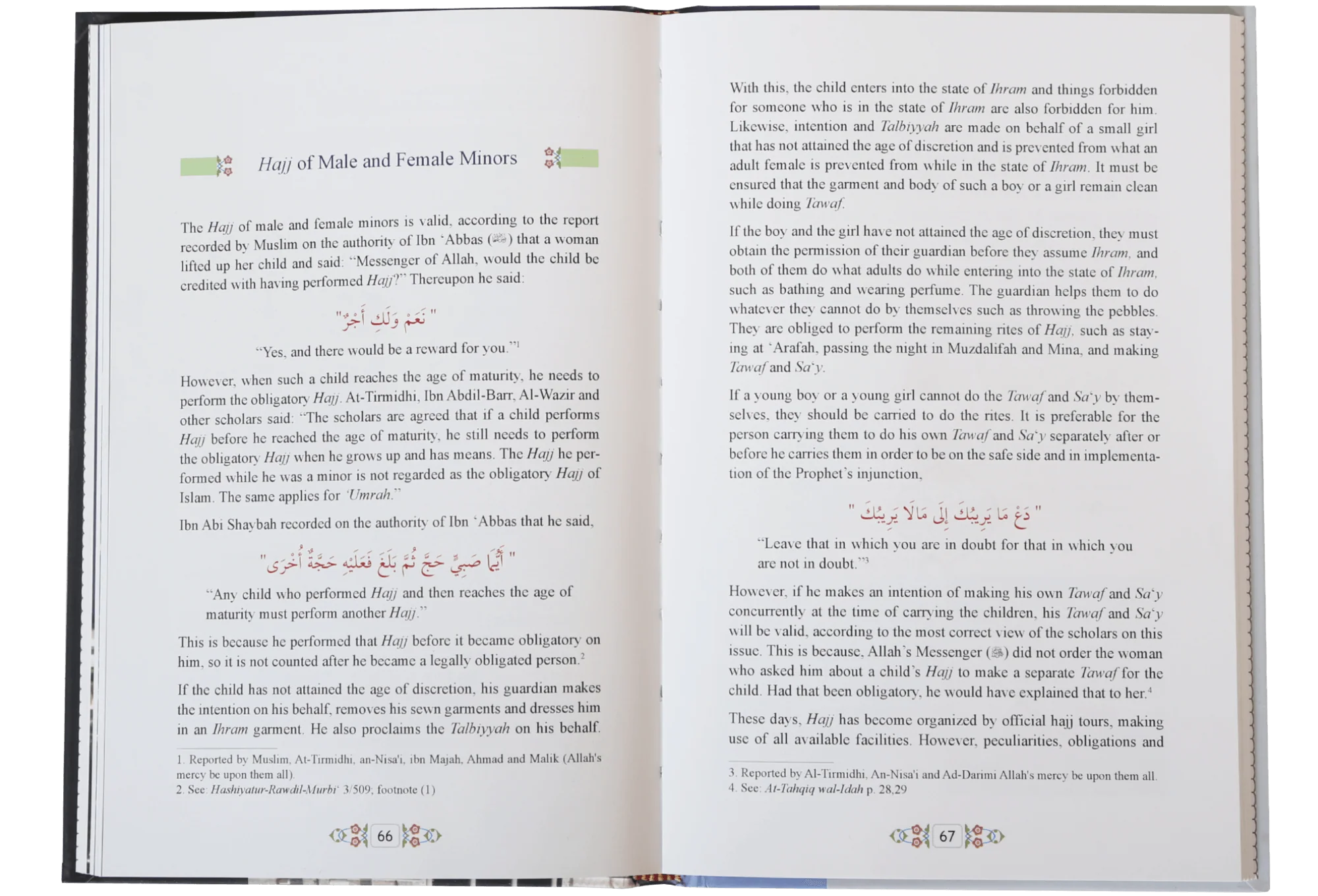Hajj, Umrah & Visitors - Image 3