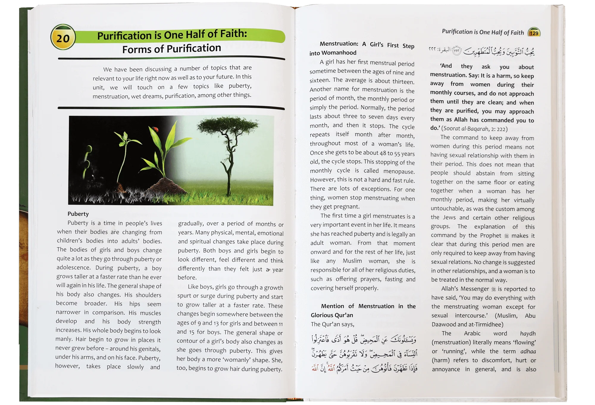 Islamic Studies Grade (vol 10) - Imported - Image 3