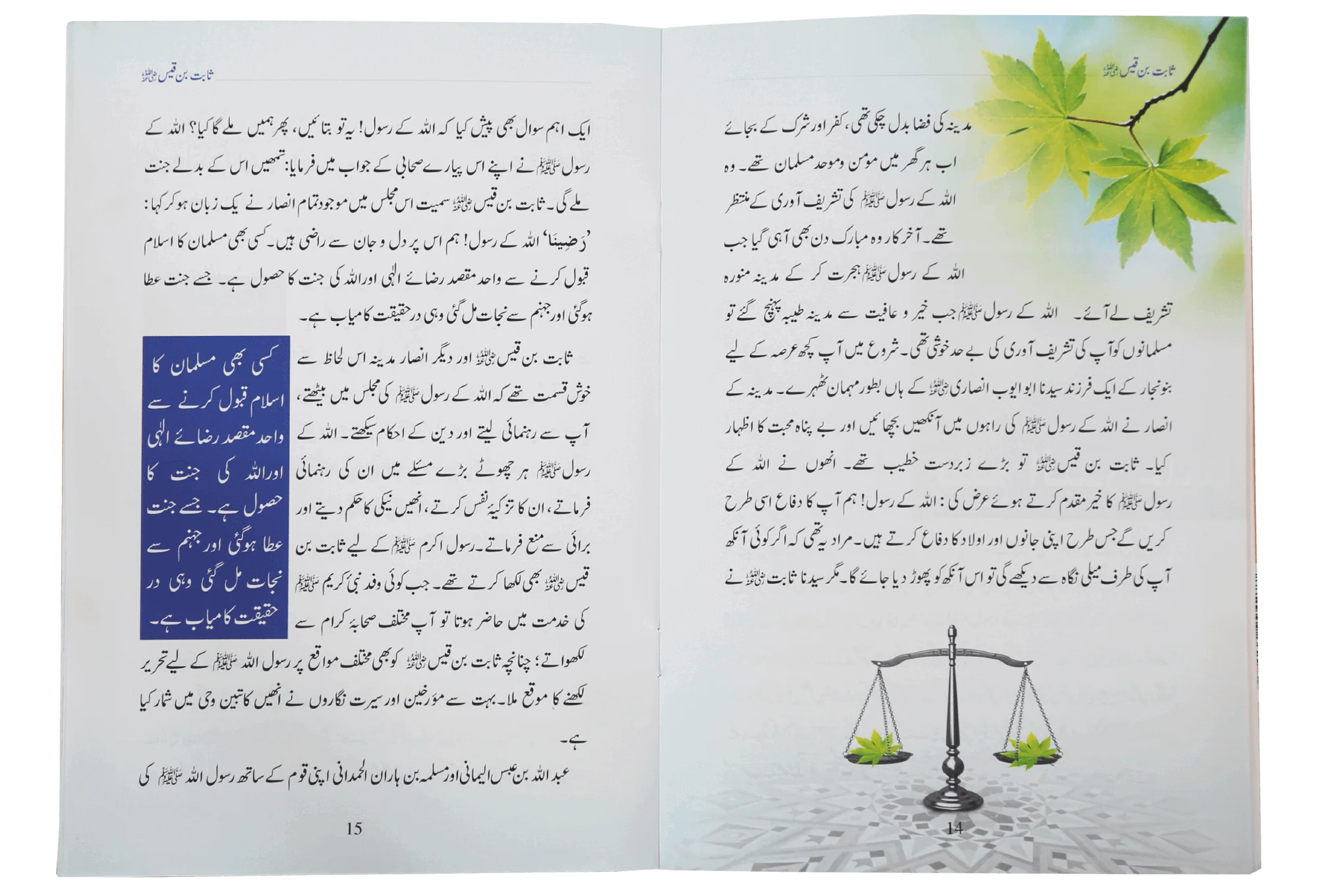 Khateeb e Rasool Sabit Bin Qais - Image 3