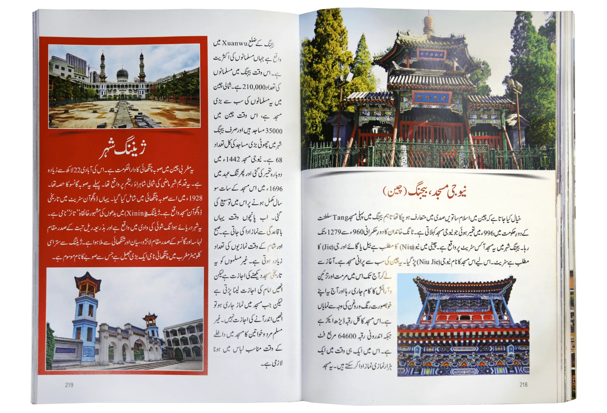 Khubsurat Masajid - Image 4