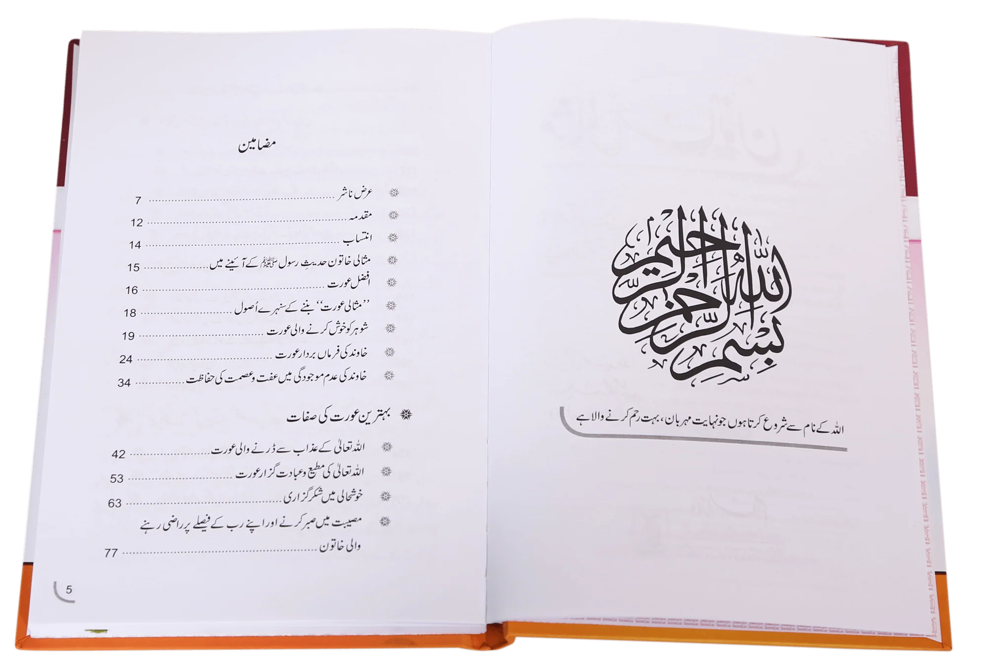 Misali Khatoon - Image 4