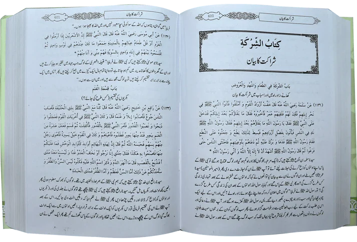 Mukhtasar Sahih Bukhari (Large) - Urdu - Image 3