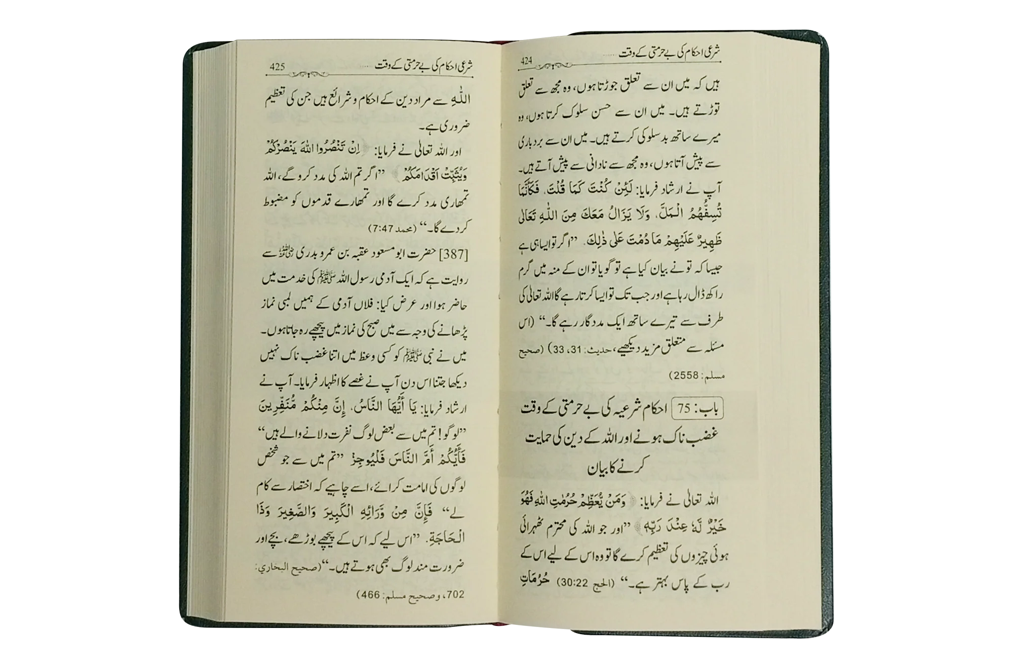 Mukhtasar Riyad Us Saliheen - Urdu - Image 3