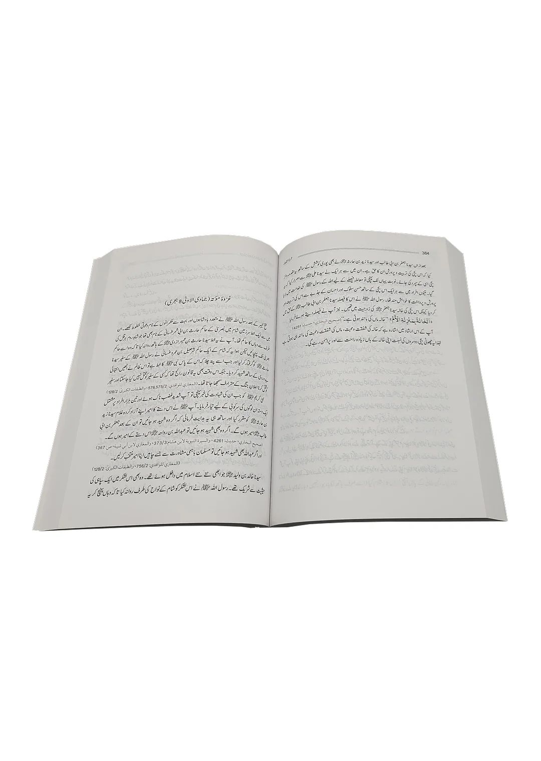 Muntakhab Seerat e Mustafa - Image 2