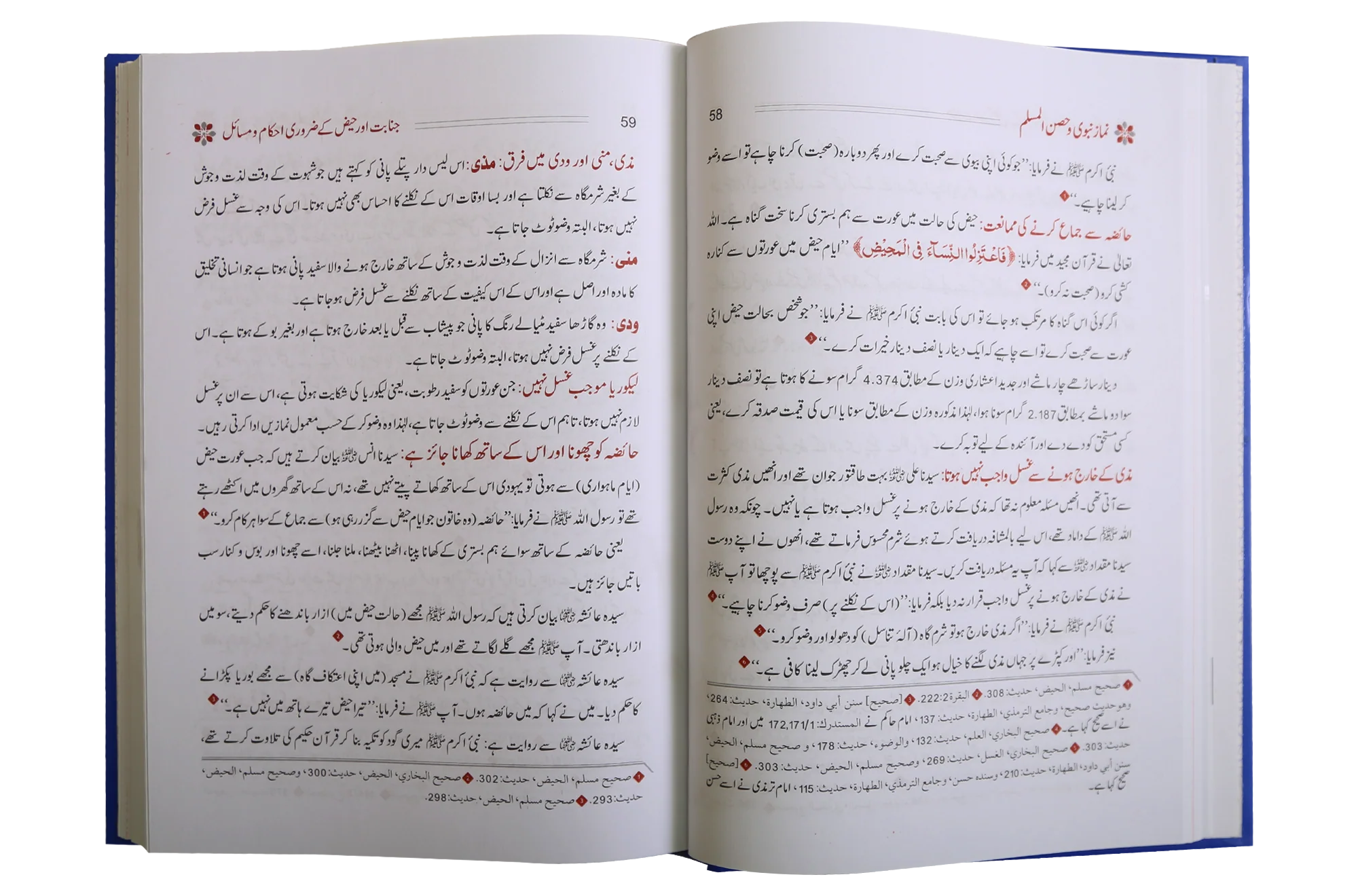 Namaz e Nabvi & Hisn al Muslim (17x24) - Image 3