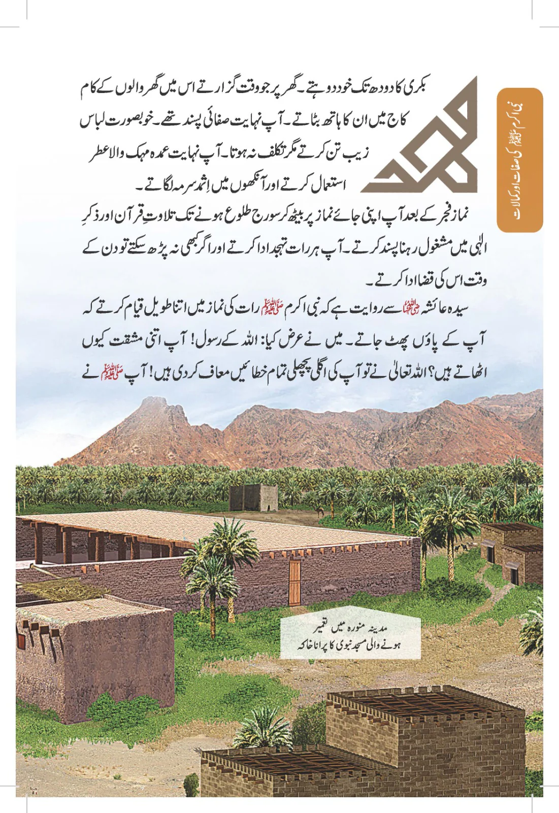 Paighambar e Islam Muhammad S.A.W. - An Illustrated Guide - Image 8