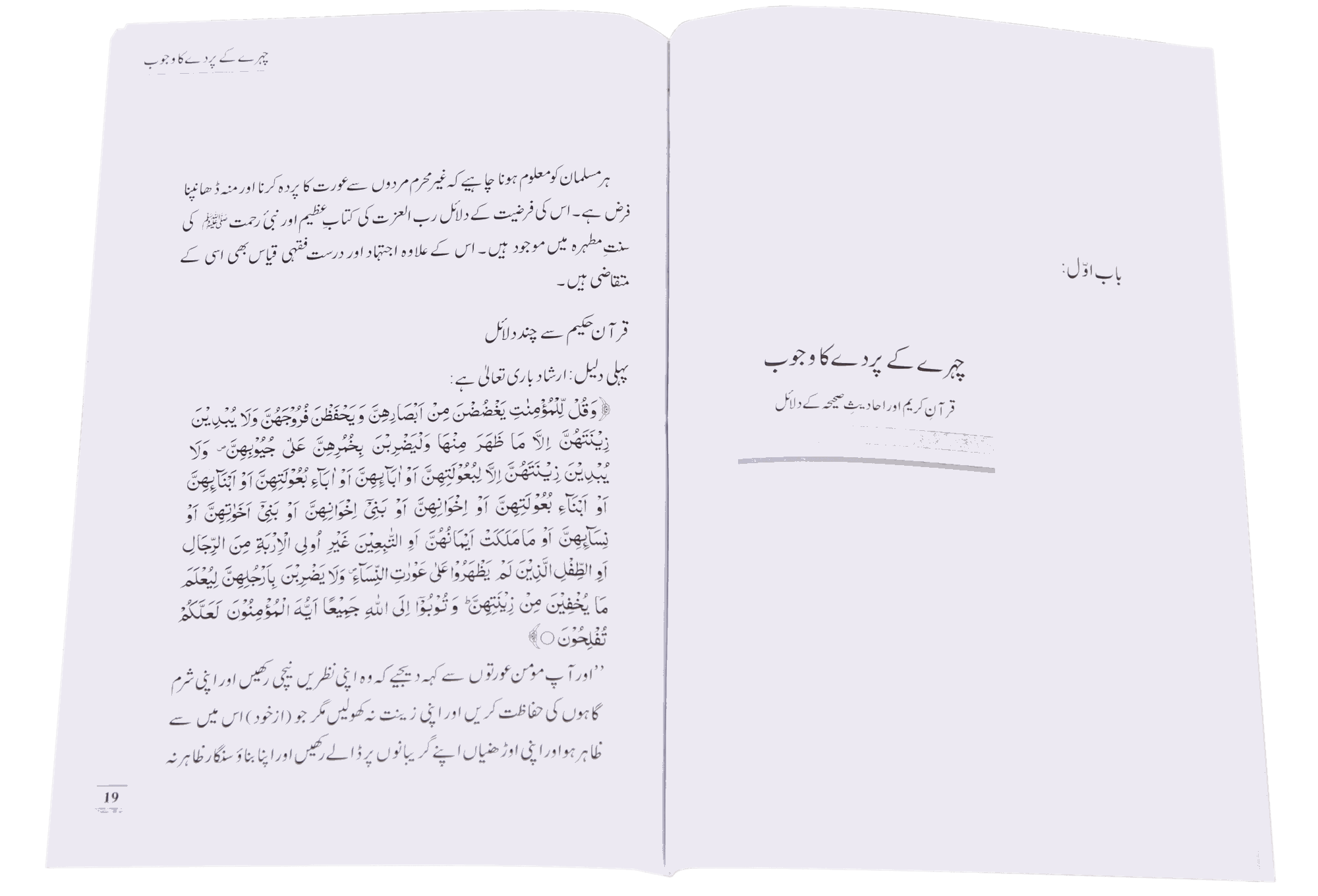 Pardah - Image 3