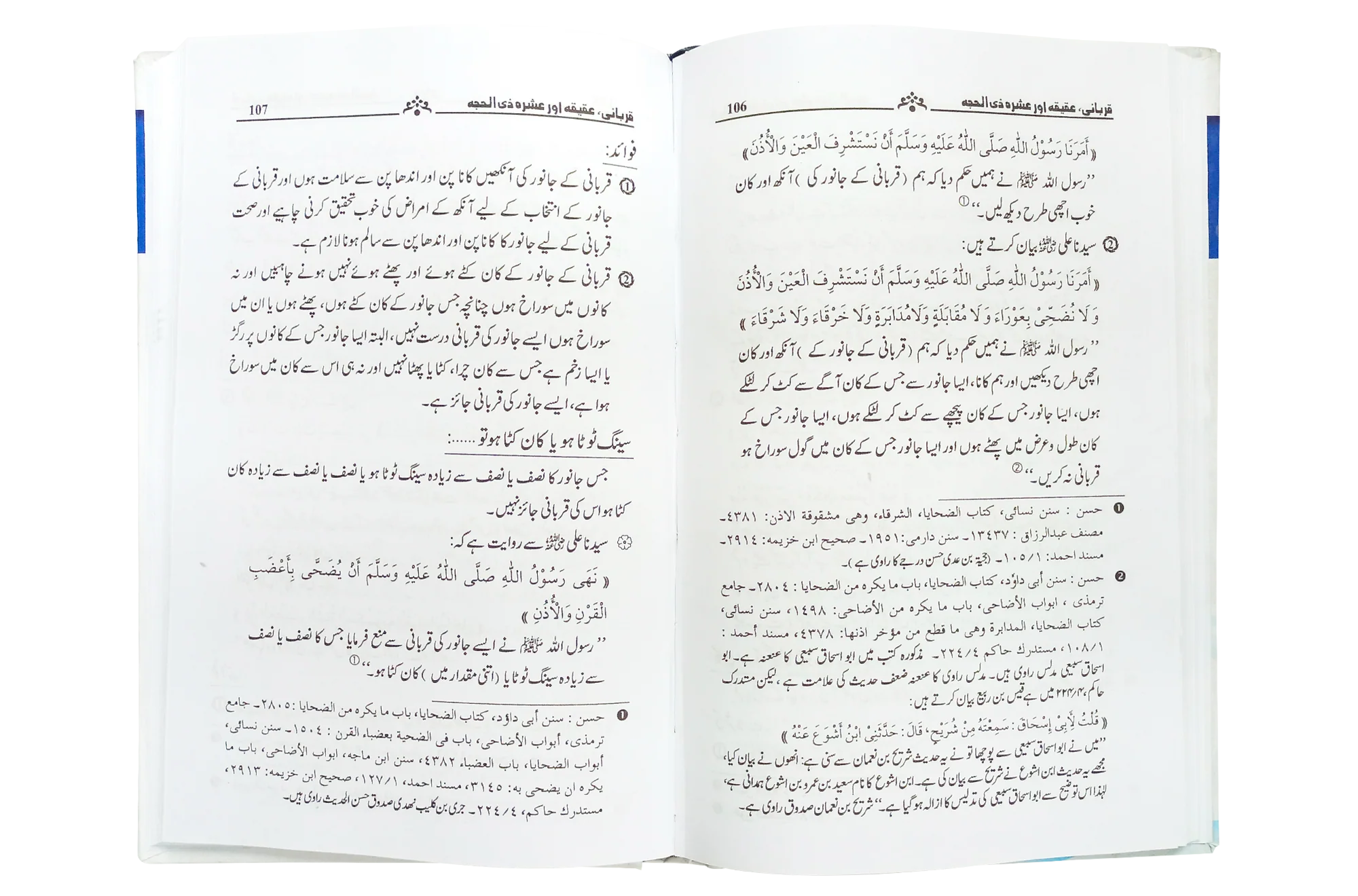 Qurbani, Aqeeqah aur Ashra Zil Hajja - Image 3