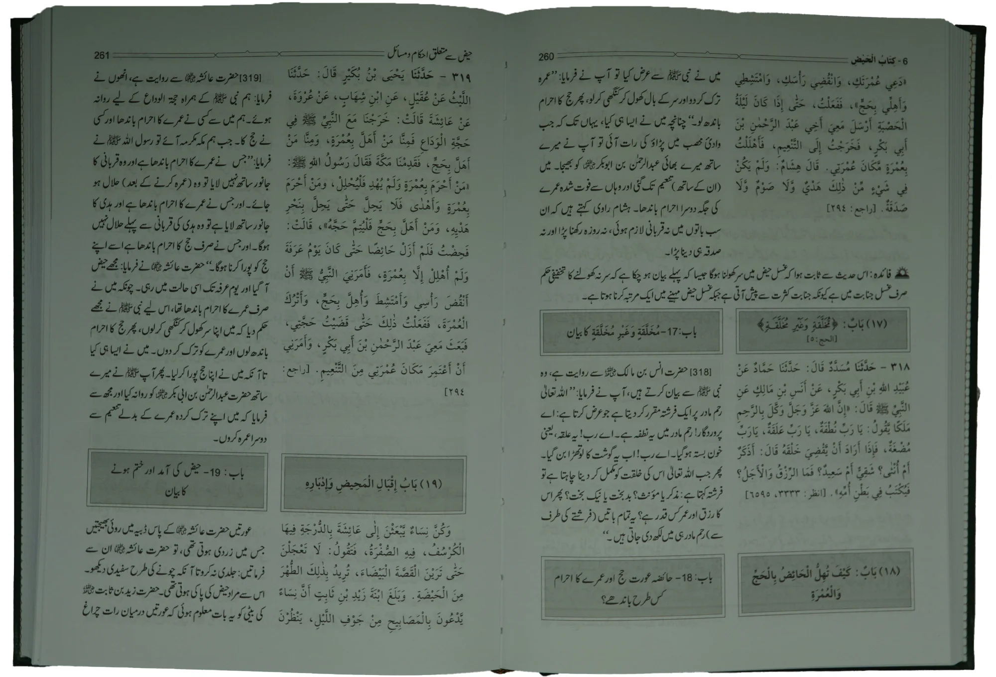 Sahih Al-Bukhari (6 Vol. Set) - Image 4