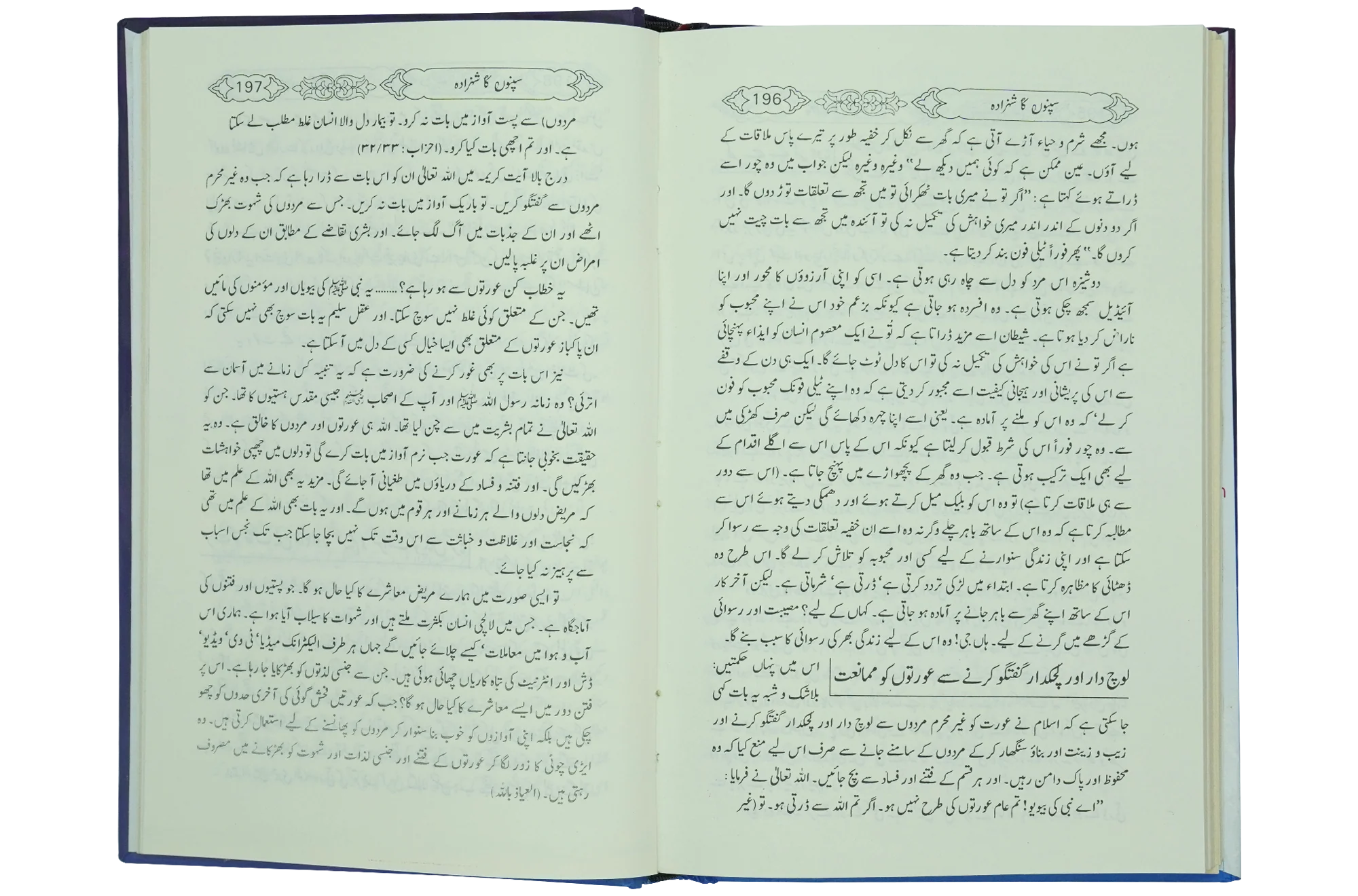 Sapno Ka Shahzada - Image 4