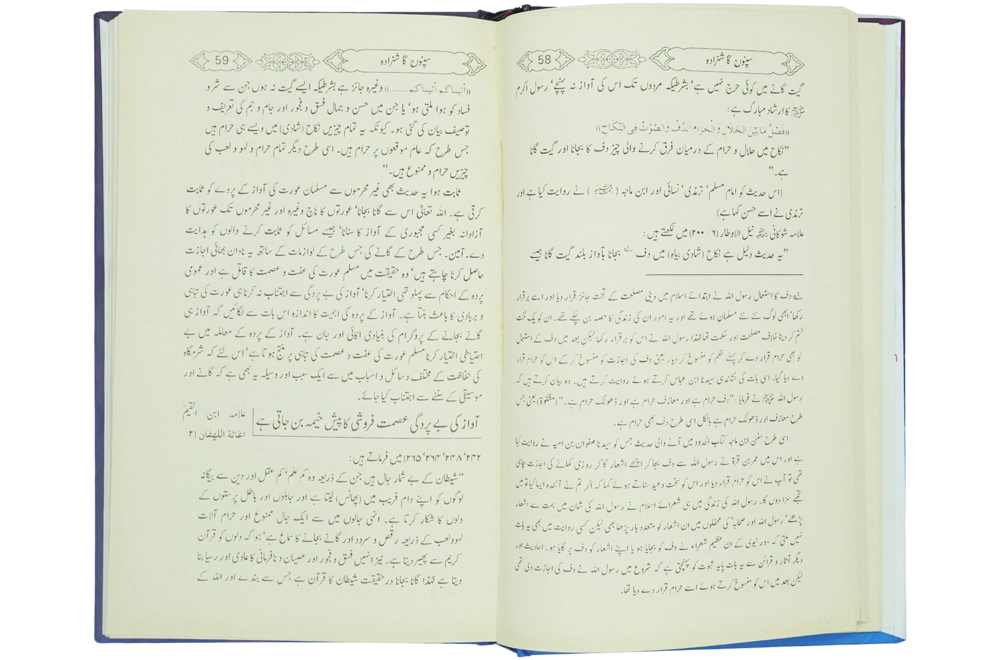 Sapno Ka Shahzada - Image 6