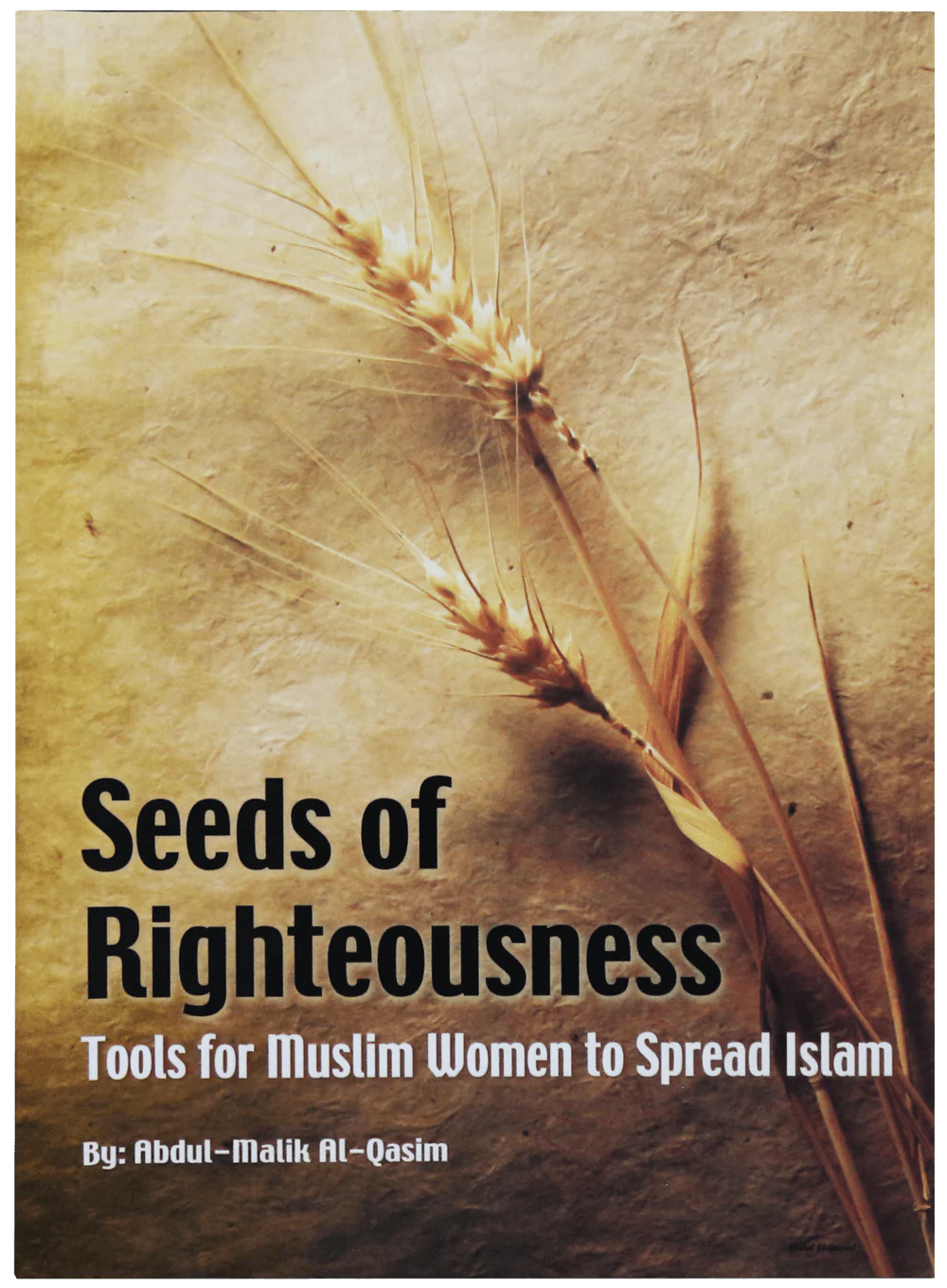 Seed of Righteousness