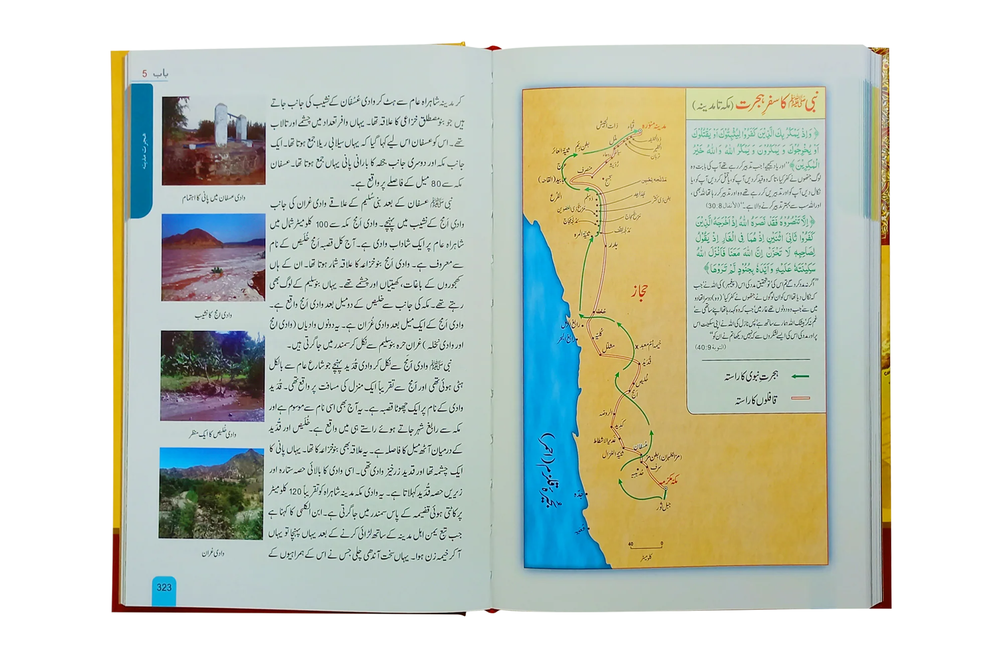 Seerat Encyclopedia (4th Vol.) - Image 2
