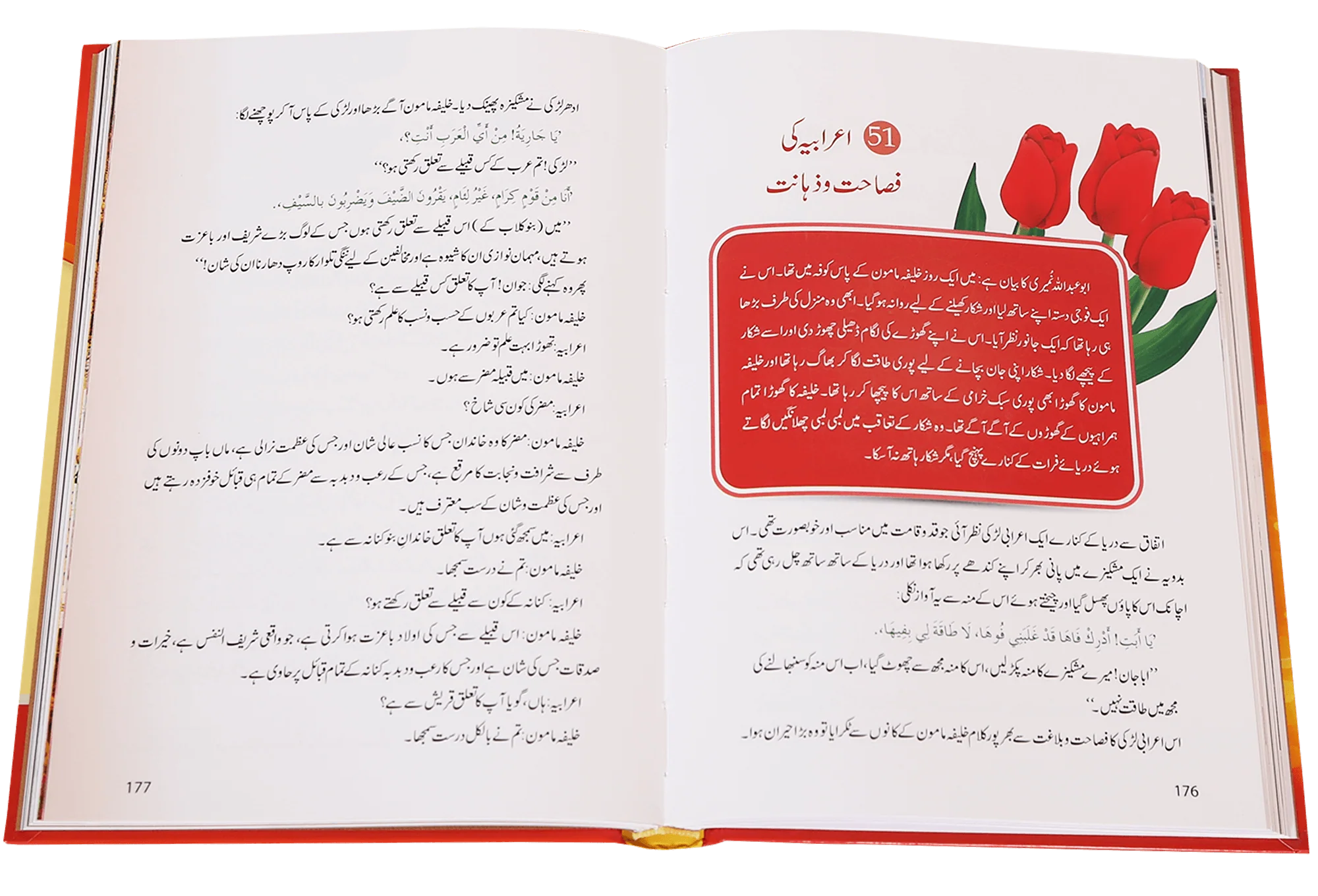 Sunehri Kirnain - Image 3