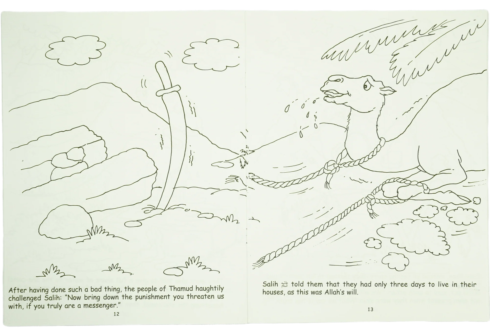 The Camel and Evil People cooring book - Image 4