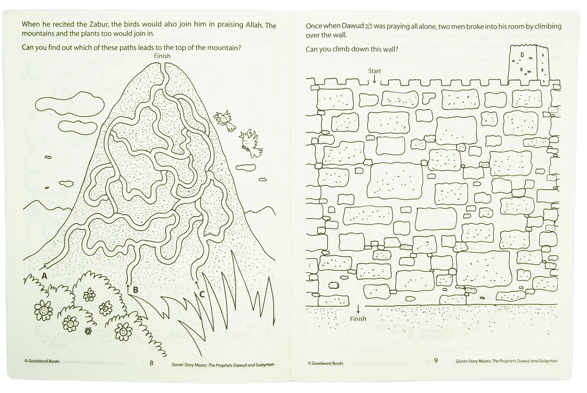The Story of the Prophet Dawud and Sulyman - Image 3