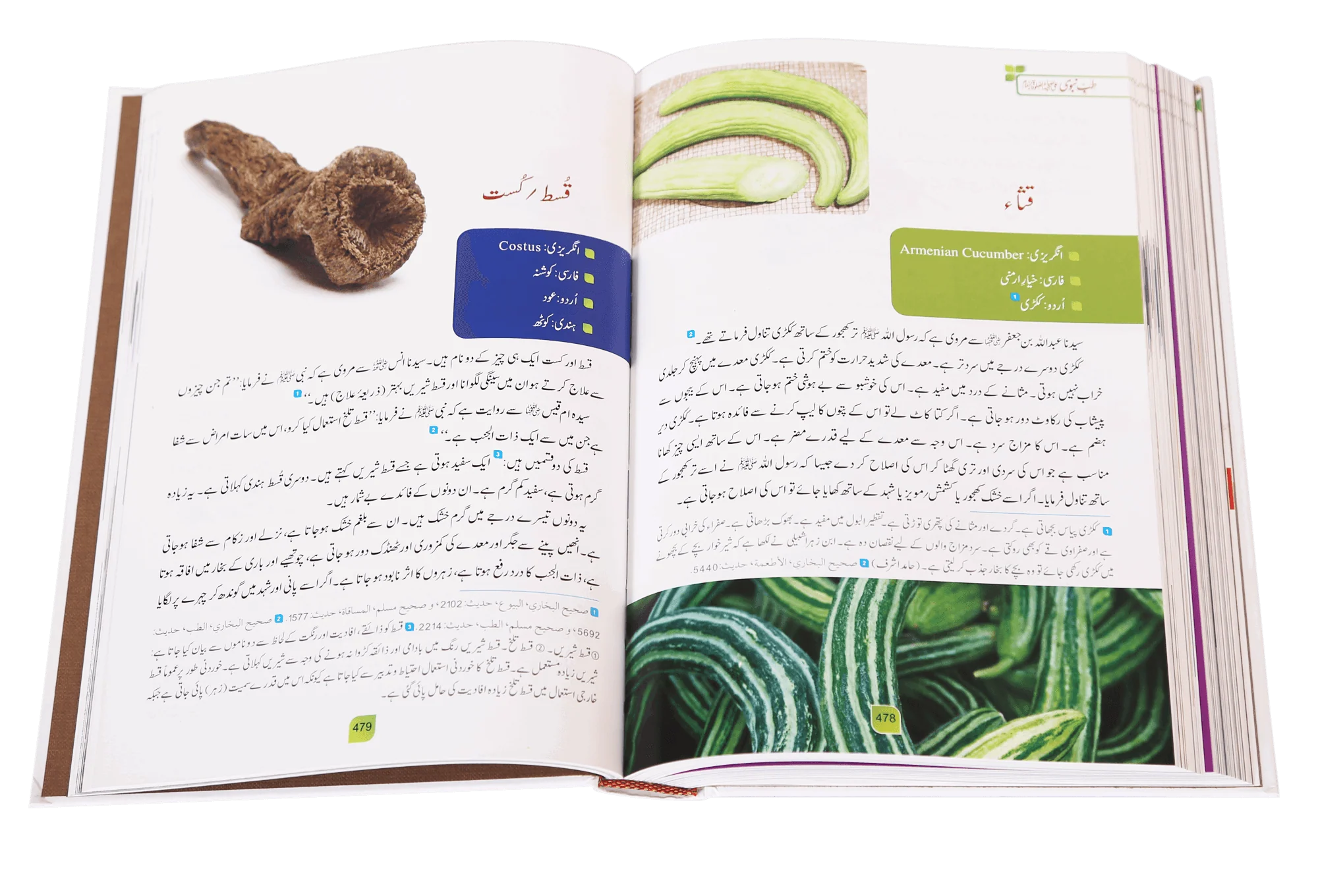 Tib-e-Nabvi (Latest) - Ibn al Qayyim - Image 3