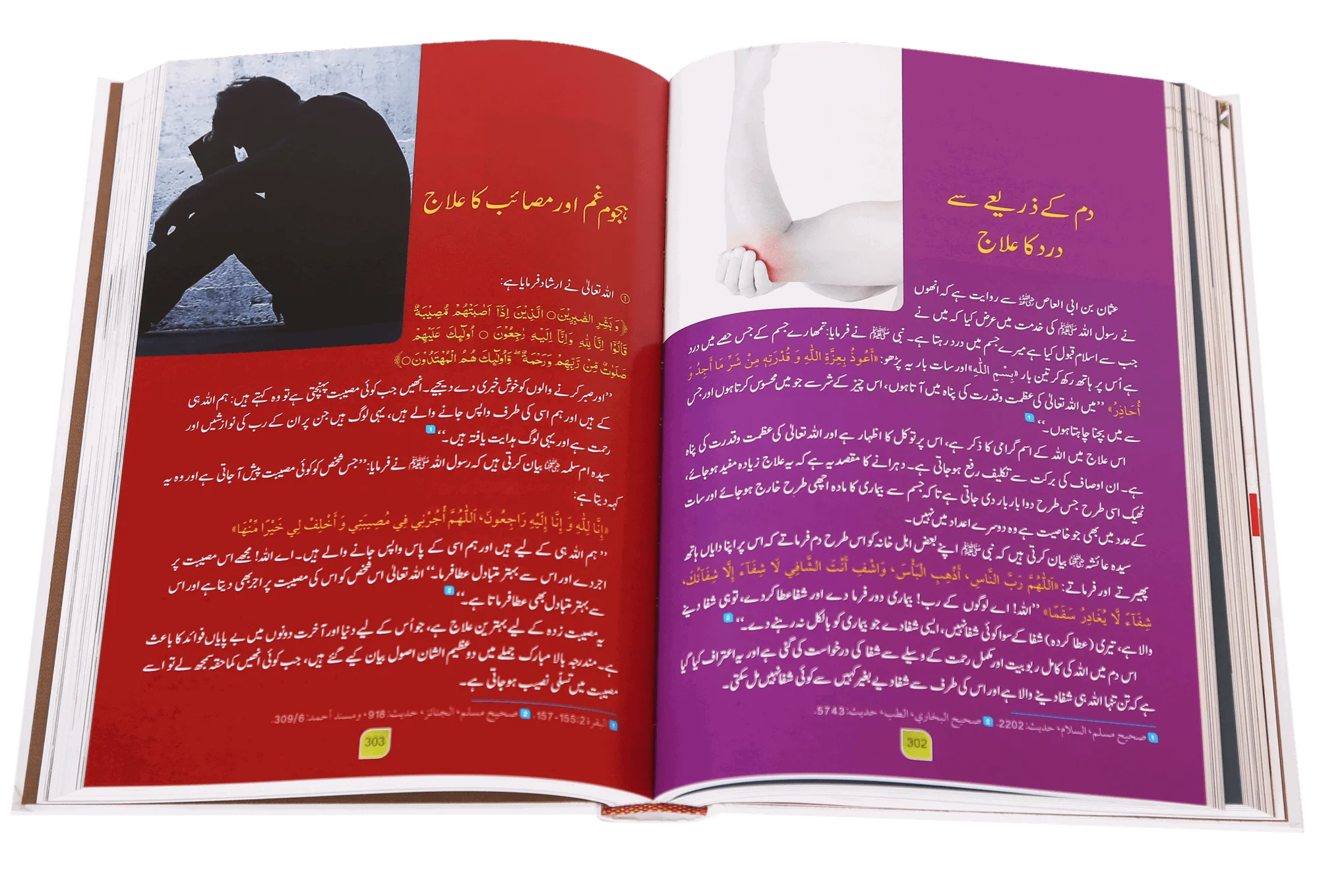 Tib-e-Nabvi (Latest) - Ibn al Qayyim - Image 4