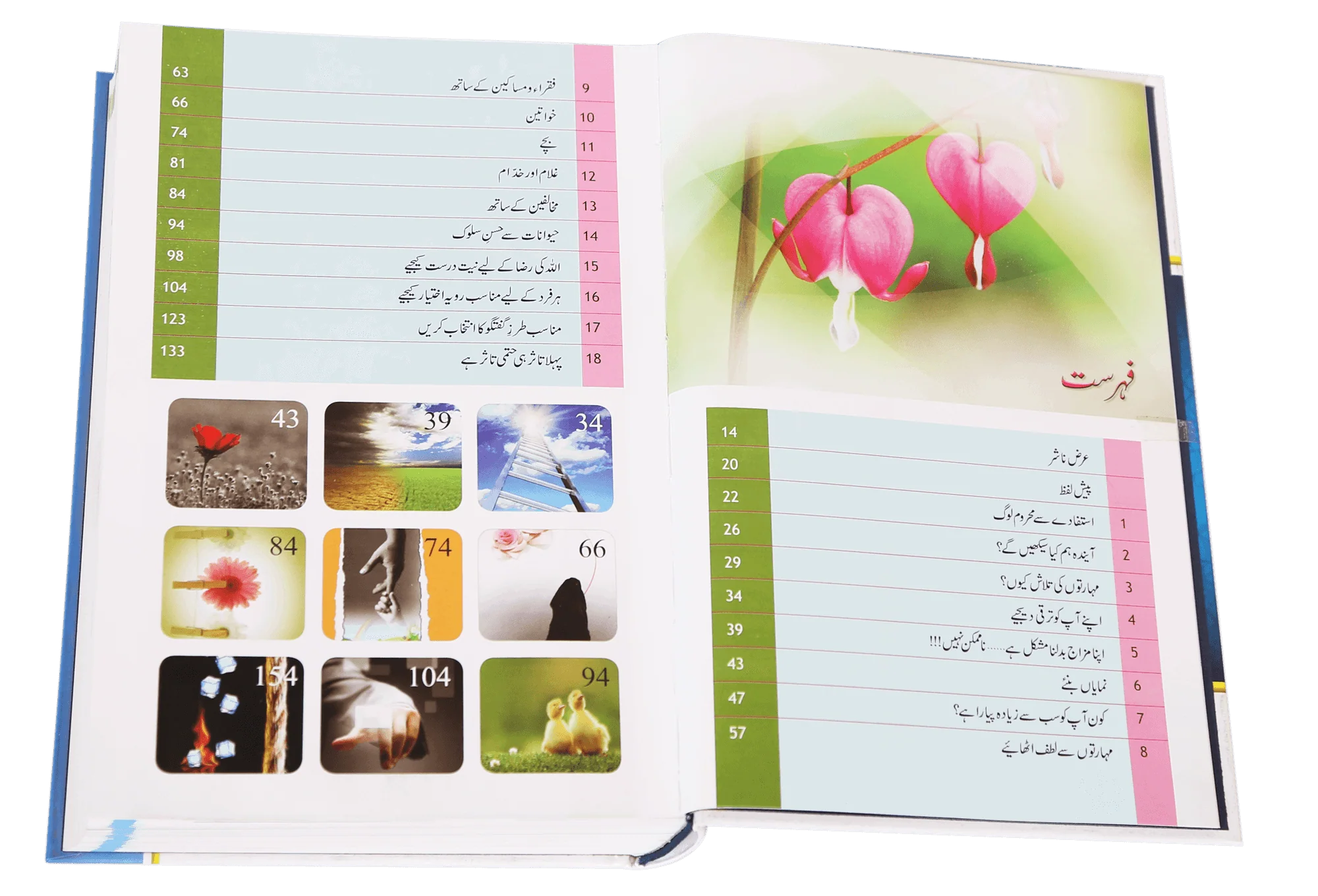 Zindagi Se Lutf Uthaye (Hard Cover) Imported - Image 5